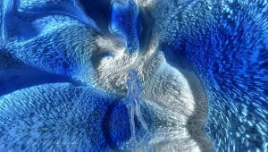 Nature Dreams 04 1 2400x1350 1